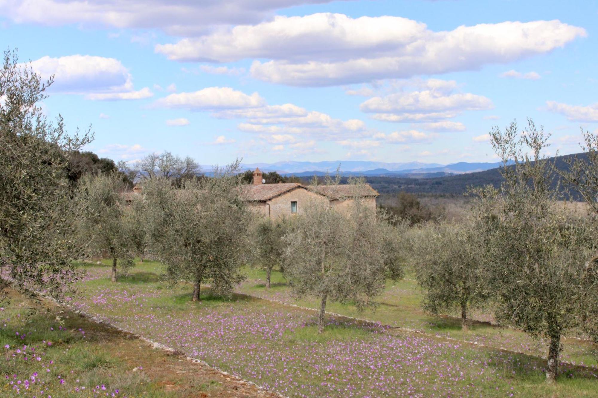 Agriturismo Il Caggio โซวิชิลเล ภายนอก รูปภาพ