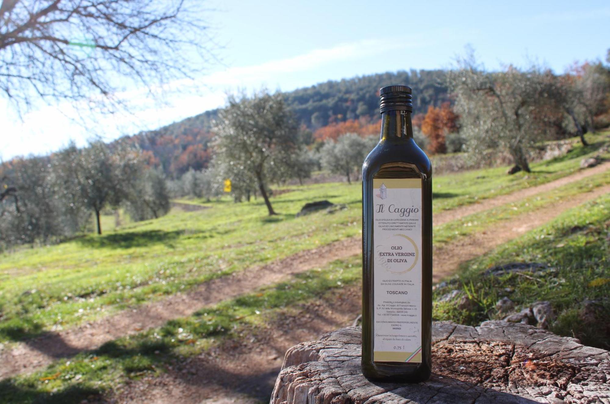 Agriturismo Il Caggio โซวิชิลเล ภายนอก รูปภาพ